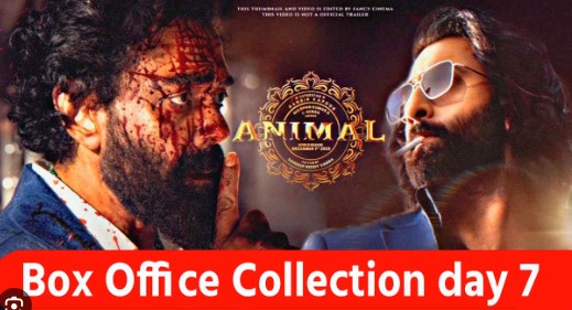 Animal Box office worldwide Collection Day 7