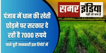 Panjab में धान की खेती छोड़ने वाले क‍िसानों को 7000 रुपये प्रत‍ि एकड़ की दर से प्रोत्साहन उपलब्ध