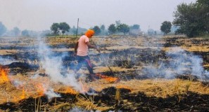 Haryana News:पराली जलाने के लिए 14 किसानों को गिरफ्तार किया गया