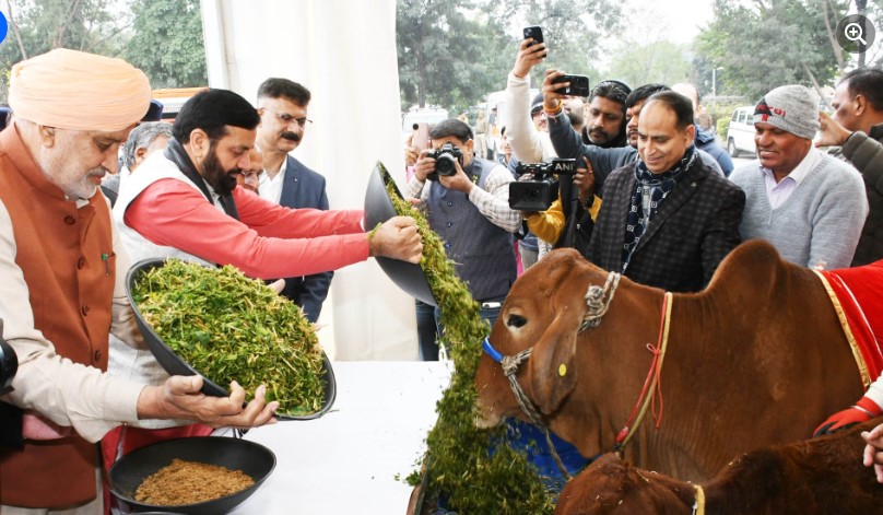 Haryana में गौ सेवा को बढ़ावा: 216.25 करोड़ का चारा अनुदान जारी